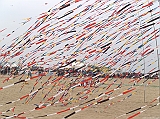 Cervia 2011-250
